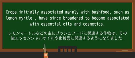 myrtle 読み方|MYRTLE .
